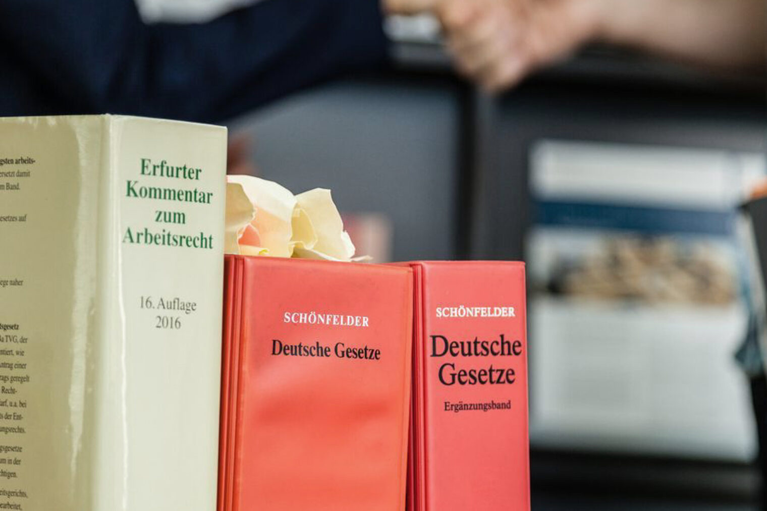 Rechtsberatung, Recht, Beratung, Büro, Ordner, Gesetz, Gesetzesbuch, BGB, Deutsches Gesetz, Schreibtisch, Gespräch, Zivilrecht, Wirtschaftsrecht, Sozialrecht Rechtsberatung, Beratung, Mindestlohn, Begrüßung Abschied